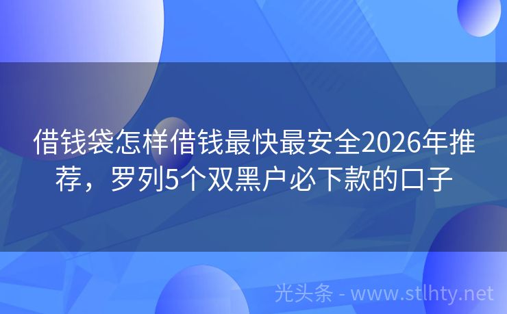 借钱袋怎样借钱最快最安全2026年推荐，罗列5个双黑户必下款的口子