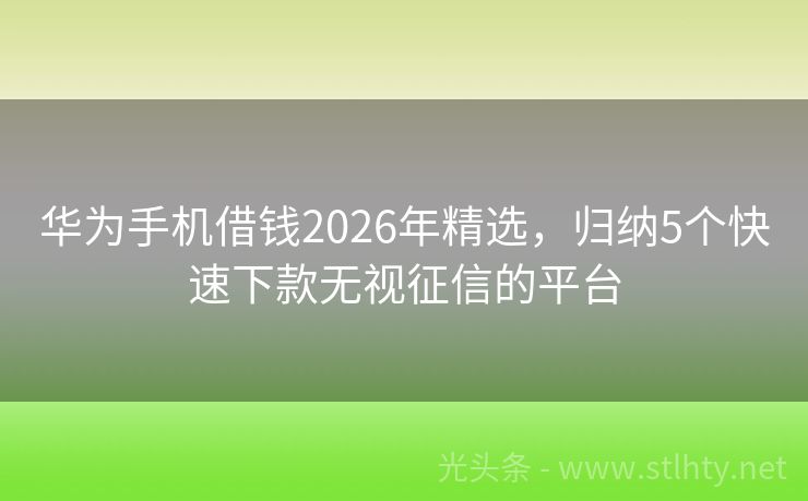 华为手机借钱2026年精选，归纳5个快速下款无视征信的平台