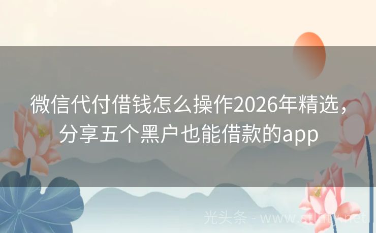 微信代付借钱怎么操作2026年精选，分享五个黑户也能借款的app