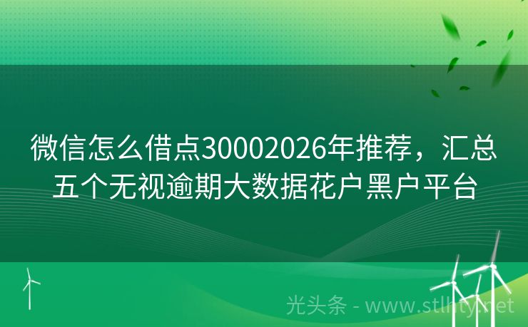 微信怎么借点30002026年推荐，汇总五个无视逾期大数据花户黑户平台