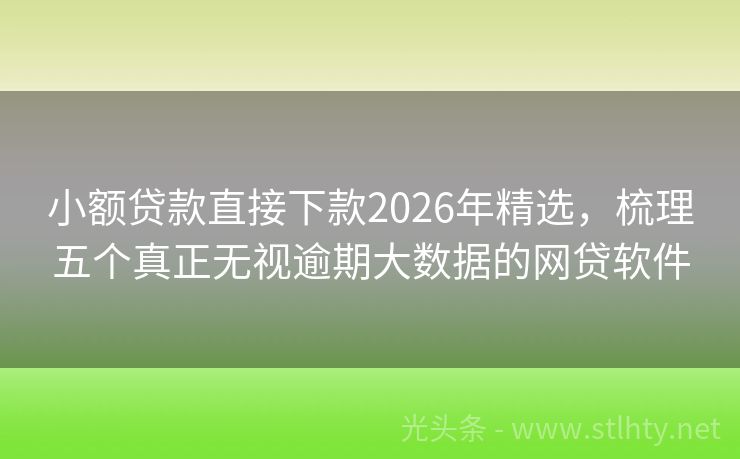 小额贷款直接下款2026年精选，梳理五个真正无视逾期大数据的网贷软件