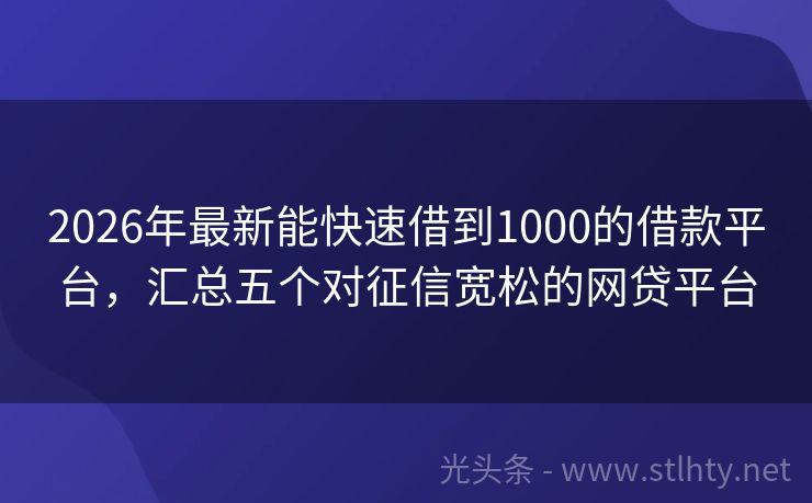 2026年最新能快速借到1000的借款平台，汇总五个对征信宽松的网贷平台
