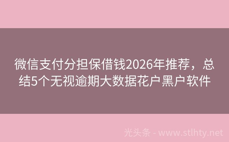 微信支付分担保借钱2026年推荐，总结5个无视逾期大数据花户黑户软件
