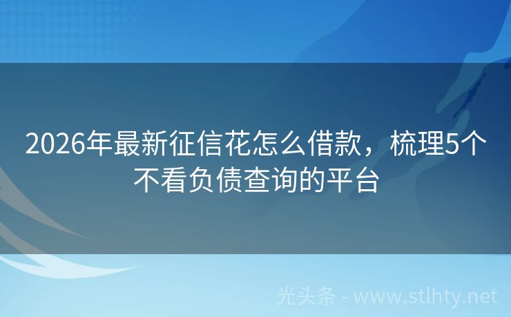 2026年最新征信花怎么借款，梳理5个不看负债查询的平台