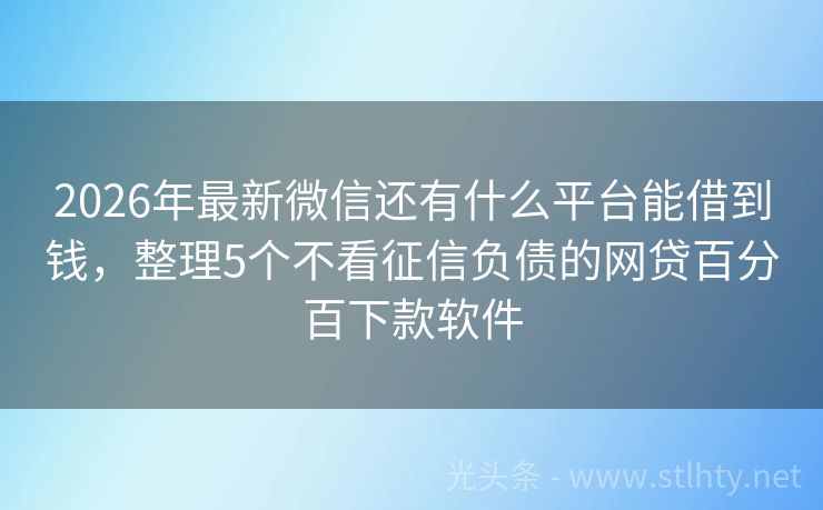 2026年最新微信还有什么平台能借到钱，整理5个不看征信负债的网贷百分百下款软件