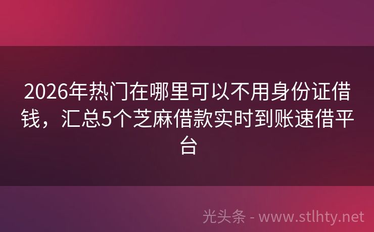 2026年热门在哪里可以不用身份证借钱，汇总5个芝麻借款实时到账速借平台