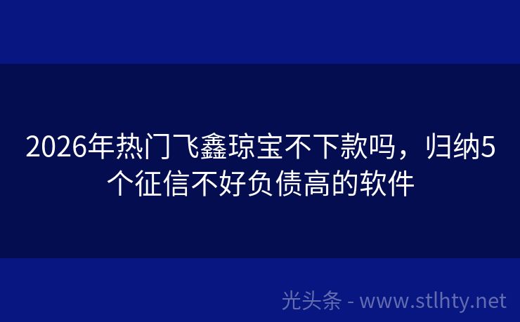 2026年热门飞鑫琼宝不下款吗，归纳5个征信不好负债高的软件