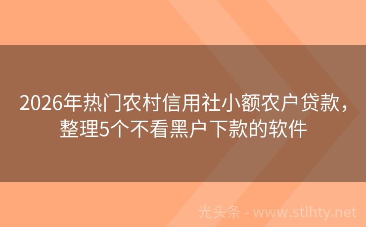 2026年热门农村信用社小额农户贷款，整理5个不看黑户下款的软件