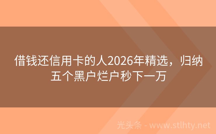 借钱还信用卡的人2026年精选，归纳五个黑户烂户秒下一万