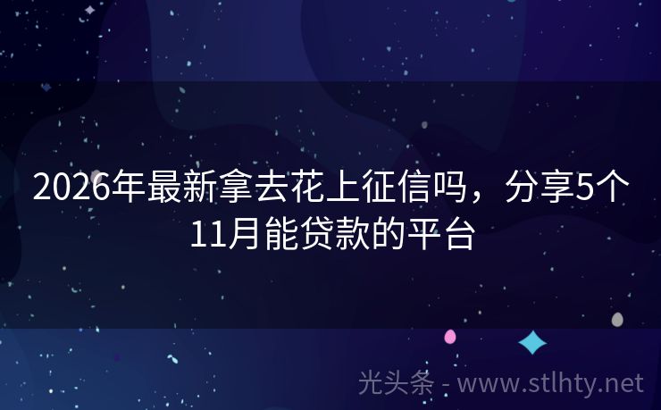 2026年最新拿去花上征信吗，分享5个11月能贷款的平台