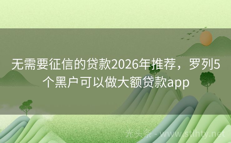无需要征信的贷款2026年推荐，罗列5个黑户可以做大额贷款app