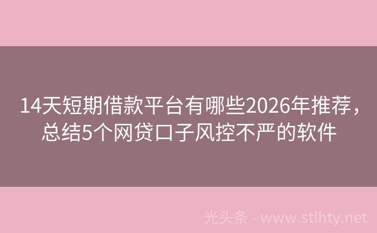 14天短期借款平台有哪些2026年推荐，总结5个网贷口子风控不严的软件