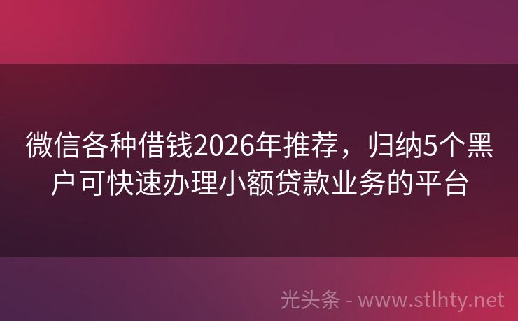 微信各种借钱2026年推荐，归纳5个黑户可快速办理小额贷款业务的平台