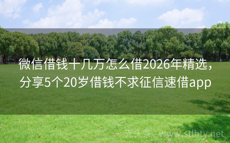 微信借钱十几万怎么借2026年精选，分享5个20岁借钱不求征信速借app