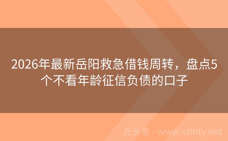 2026年最新岳阳救急借钱周转，盘点5个不看年龄征信负债的口子