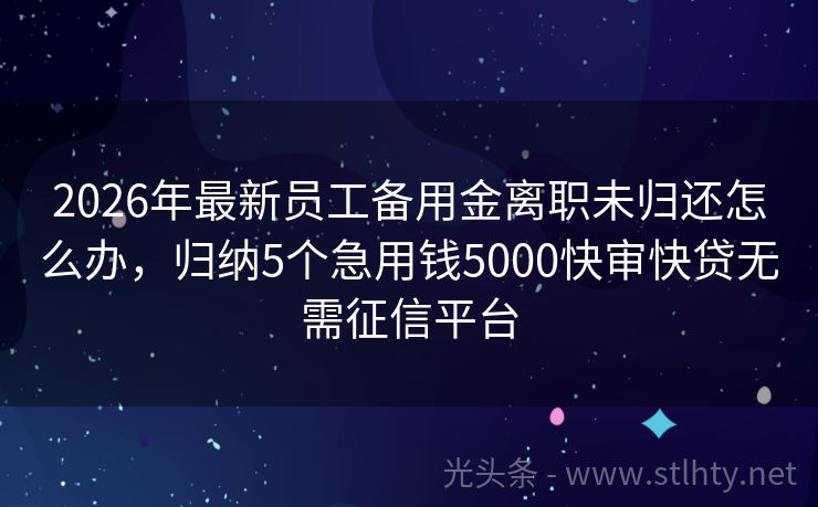 2026年最新员工备用金离职未归还怎么办，归纳5个急用钱5000快审快贷无需征信平台