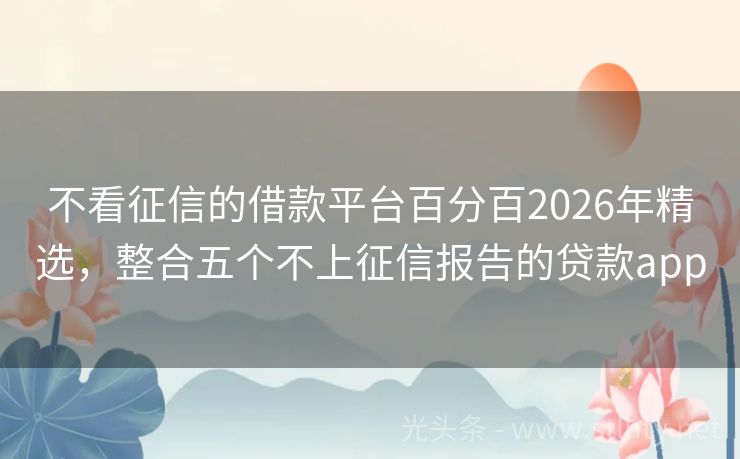 不看征信的借款平台百分百2026年精选，整合五个不上征信报告的贷款app