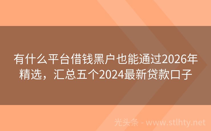 有什么平台借钱黑户也能通过2026年精选，汇总五个2024最新贷款口子