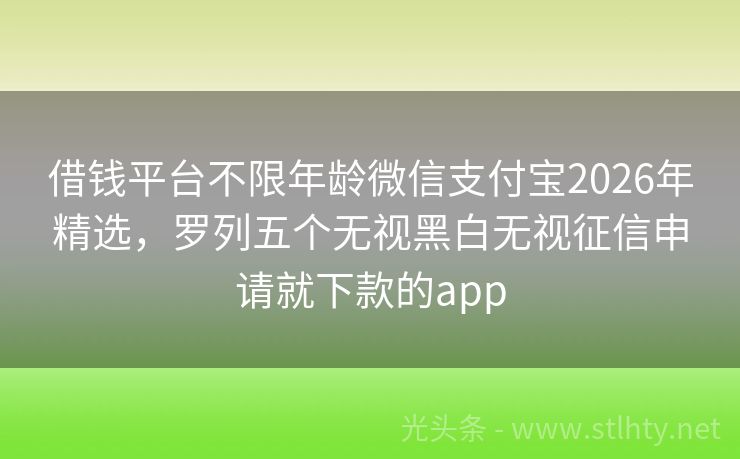 借钱平台不限年龄微信支付宝2026年精选，罗列五个无视黑白无视征信申请就下款的app