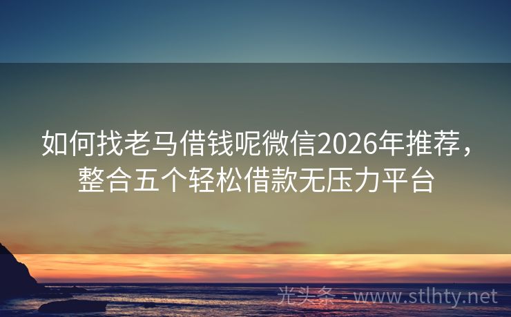 如何找老马借钱呢微信2026年推荐，整合五个轻松借款无压力平台