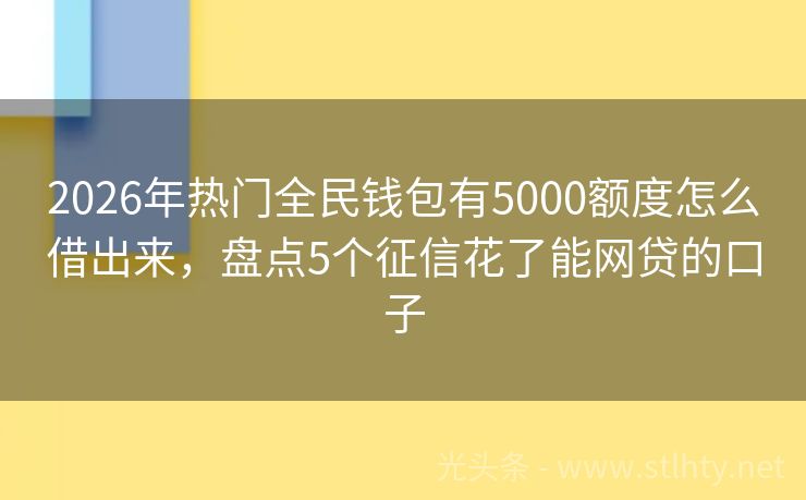 2026年热门全民钱包有5000额度怎么借出来，盘点5个征信花了能网贷的口子