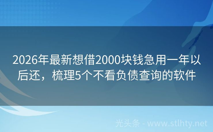 2026年最新想借2000块钱急用一年以后还，梳理5个不看负债查询的软件