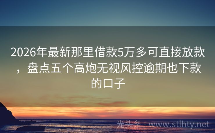 2026年最新那里借款5万多可直接放款，盘点五个高炮无视风控逾期也下款的口子