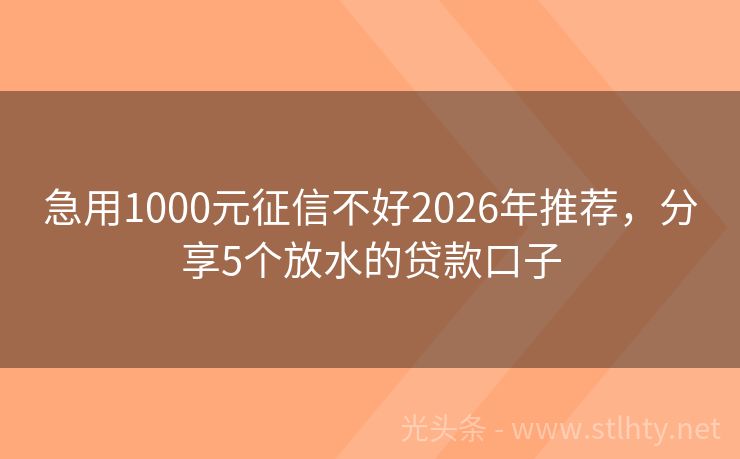 急用1000元征信不好2026年推荐，分享5个放水的贷款口子