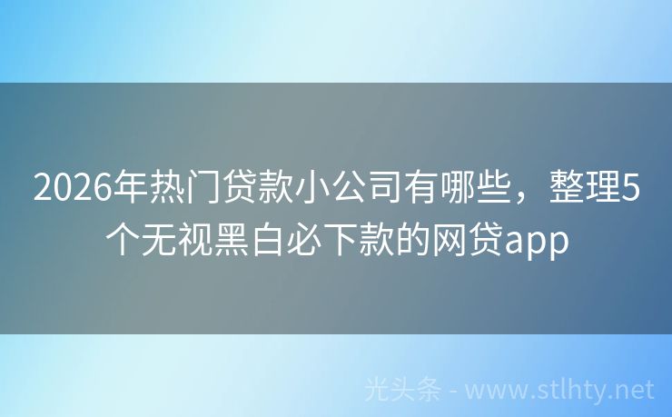 2026年热门贷款小公司有哪些，整理5个无视黑白必下款的网贷app