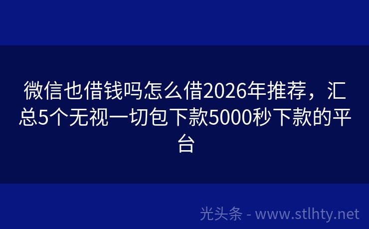 微信也借钱吗怎么借2026年推荐，汇总5个无视一切包下款5000秒下款的平台
