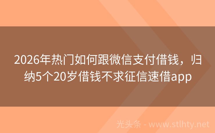 2026年热门如何跟微信支付借钱，归纳5个20岁借钱不求征信速借app