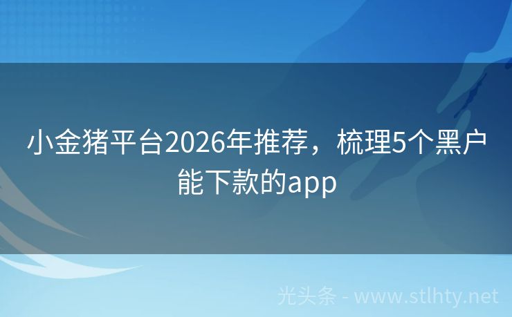 小金猪平台2026年推荐，梳理5个黑户能下款的app