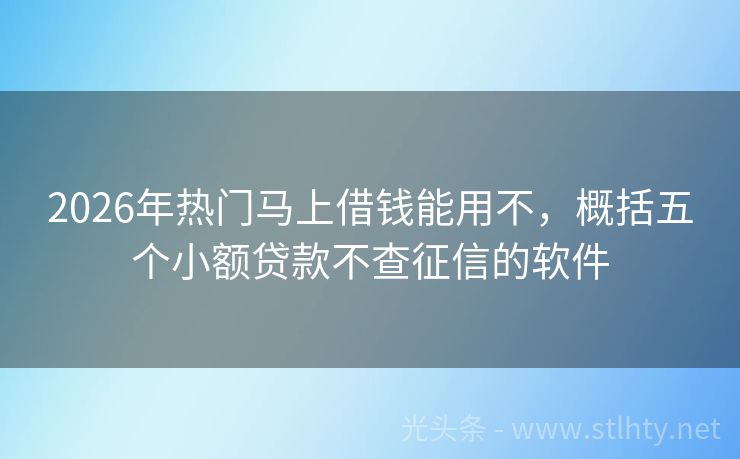 2026年热门马上借钱能用不，概括五个小额贷款不查征信的软件