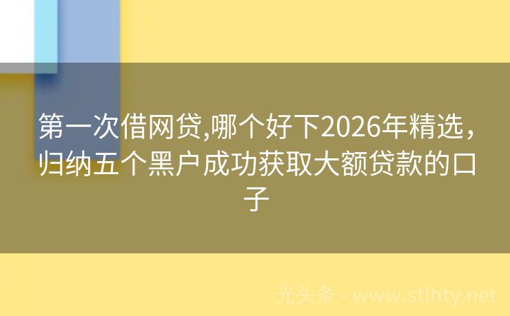 第一次借网贷,哪个好下2026年精选，归纳五个黑户成功获取大额贷款的口子
