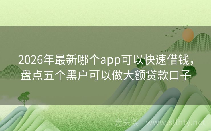 2026年最新哪个app可以快速借钱，盘点五个黑户可以做大额贷款口子