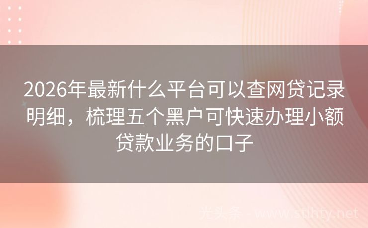 2026年最新什么平台可以查网贷记录明细，梳理五个黑户可快速办理小额贷款业务的口子