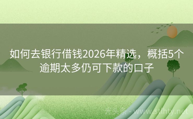 如何去银行借钱2026年精选，概括5个逾期太多仍可下款的口子