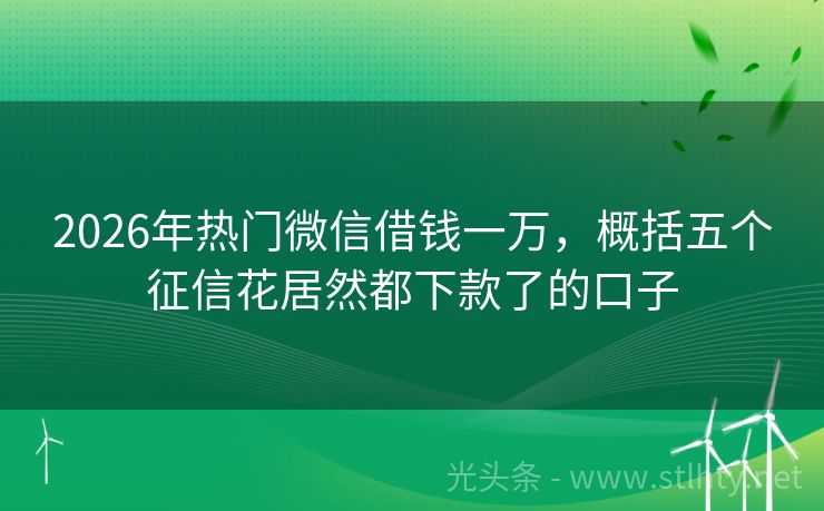 2026年热门微信借钱一万，概括五个征信花居然都下款了的口子