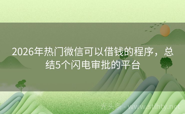 2026年热门微信可以借钱的程序，总结5个闪电审批的平台