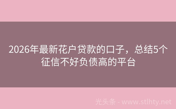 2026年最新花户贷款的口子，总结5个征信不好负债高的平台