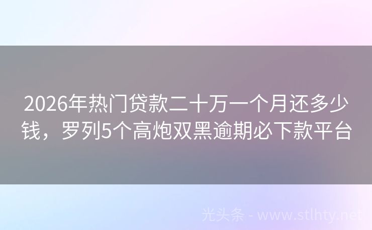 2026年热门贷款二十万一个月还多少钱，罗列5个高炮双黑逾期必下款平台