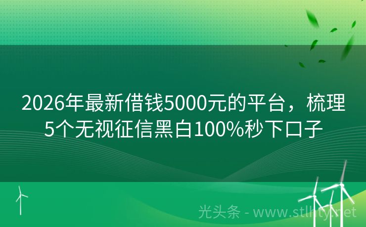 2026年最新借钱5000元的平台，梳理5个无视征信黑白100%秒下口子