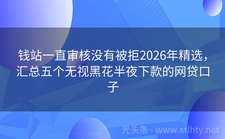 钱站一直审核没有被拒2026年精选，汇总五个无视黑花半夜下款的网贷口子