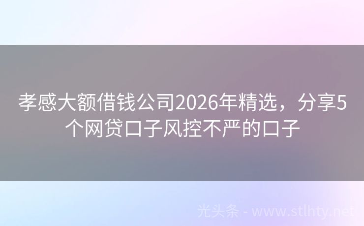 孝感大额借钱公司2026年精选，分享5个网贷口子风控不严的口子