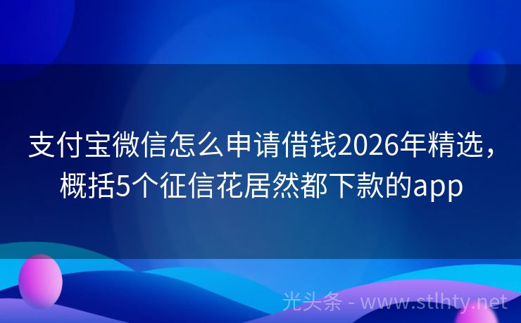 支付宝微信怎么申请借钱2026年精选，概括5个征信花居然都下款的app