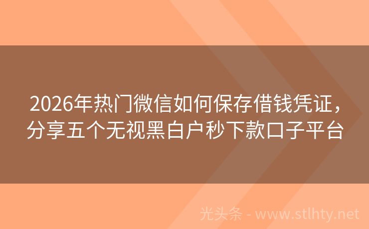 2026年热门微信如何保存借钱凭证，分享五个无视黑白户秒下款口子平台