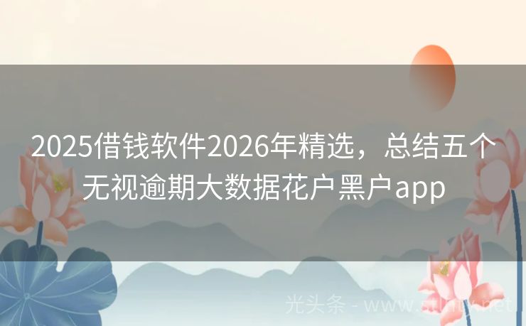 2025借钱软件2026年精选，总结五个无视逾期大数据花户黑户app