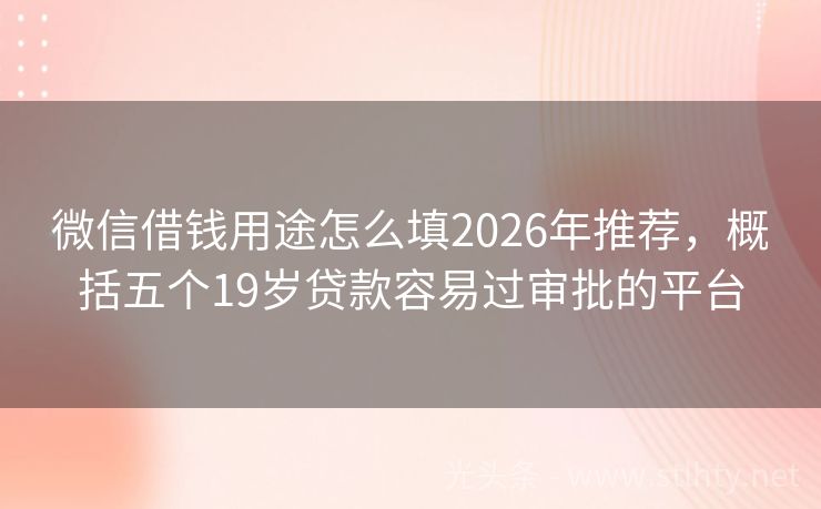微信借钱用途怎么填2026年推荐，概括五个19岁贷款容易过审批的平台