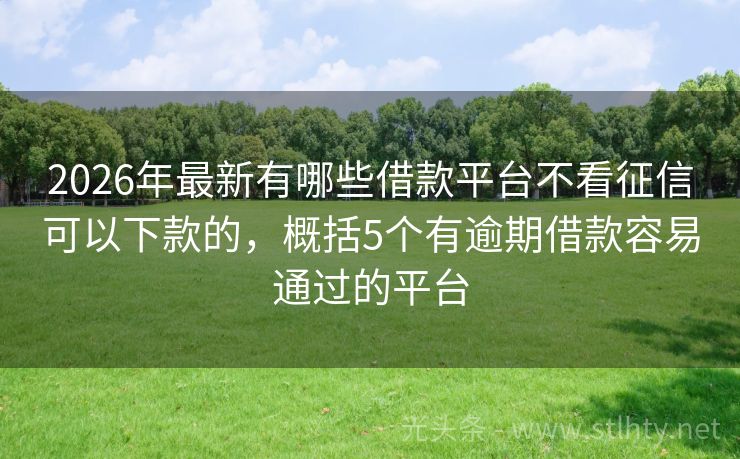 2026年最新有哪些借款平台不看征信可以下款的，概括5个有逾期借款容易通过的平台