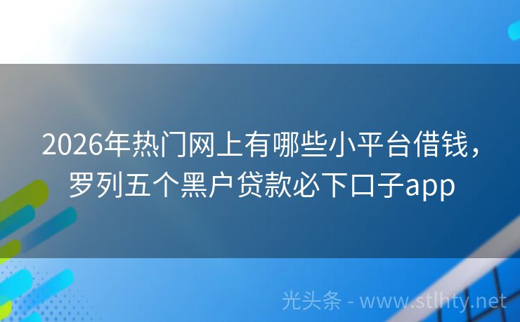 2026年热门网上有哪些小平台借钱，罗列五个黑户贷款必下口子app